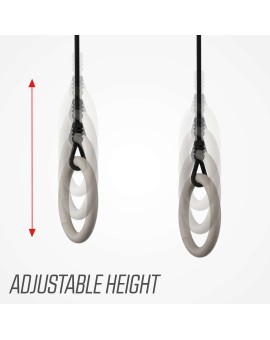 Anillas de Gimnasia para los columpios BERG PlayBase