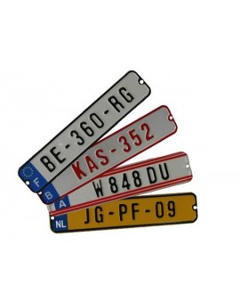 BERG License plate kit